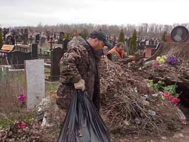 ������ ��������: ������� � �������: ������������� ������������� ������� �������� � �����