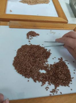 ������� ��� ���������� �������� ������ � ������ � ��������� ���� 2026 ����