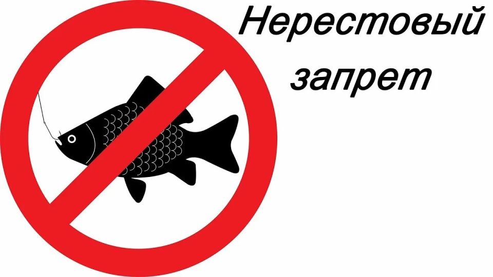 Сегодня в Доме творчества детей и юношества города Ровеньки состоялось важное мероприятие – День открытых дверей учреждений дополнительного образования Сегодня в Доме творчества детей и юношества города Ровеньки состоялось важное мероприятие – День открытых дверей учреждений дополнительного образования