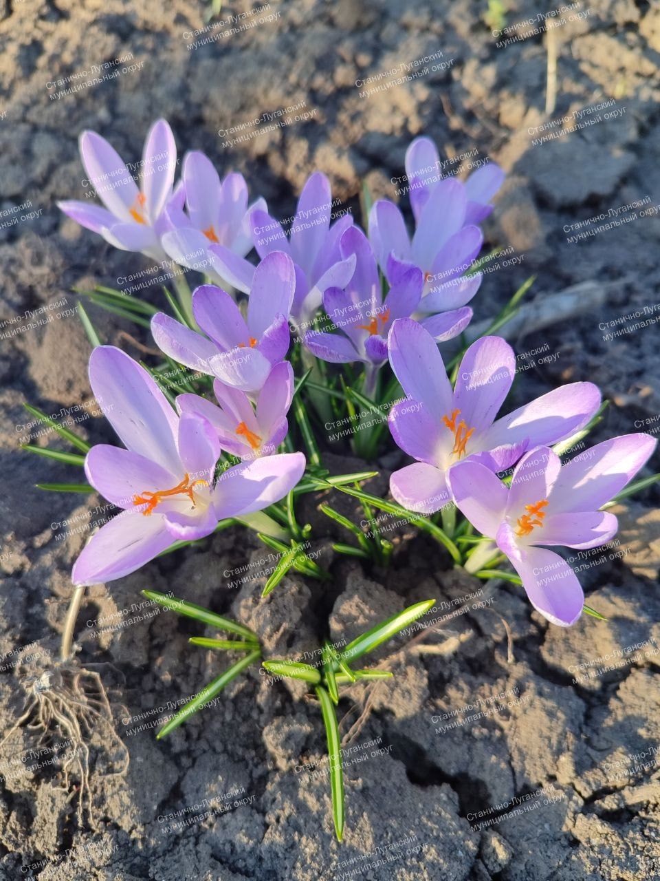 Доброе утро! Вторник, 31 марта Доброе утро! Вторник, 31 марта