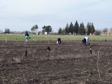 � �������� ������������� ������ ������ ����� ���������������