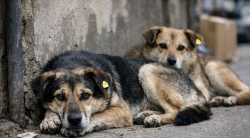 �������� ����������� �� ������ �������� ����������� ����� ����� ���������� � �������� ��� ����������, ��� �������� ������ �����, ������� ����� ������� �� ���� ��������� �����