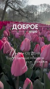 � ������ �����, ������ �������������� ������! ��������� ���� ��� � ���������� ����������!