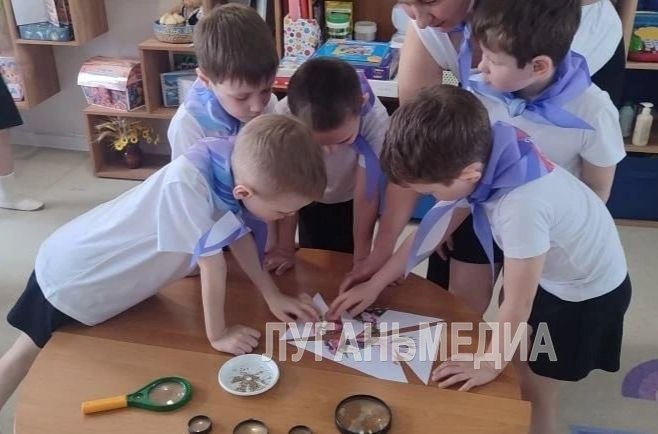 В Красном Луче прошло мероприятие для дошкольников, посвященное заботе о природе В Красном Луче прошло мероприятие для дошкольников, посвященное заботе о природе