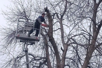 � ������������ ������ ������������� �������� �� ����� ��������������� ������ � �� ���������� �������