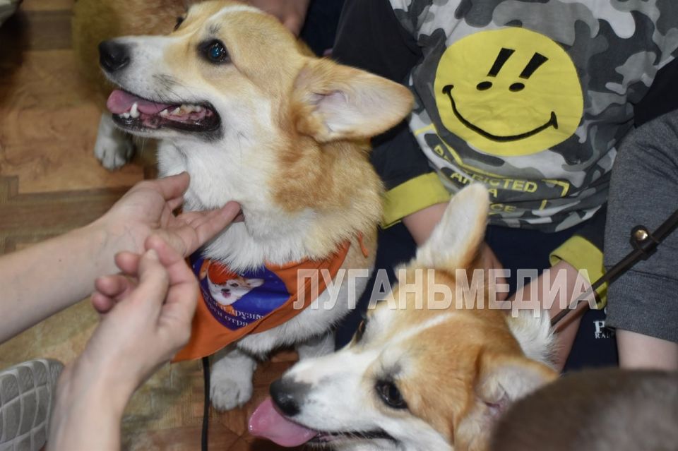 Дети с ОВЗ познакомились с творчеством Владимира Даля Дети с ОВЗ познакомились с творчеством Владимира Даля