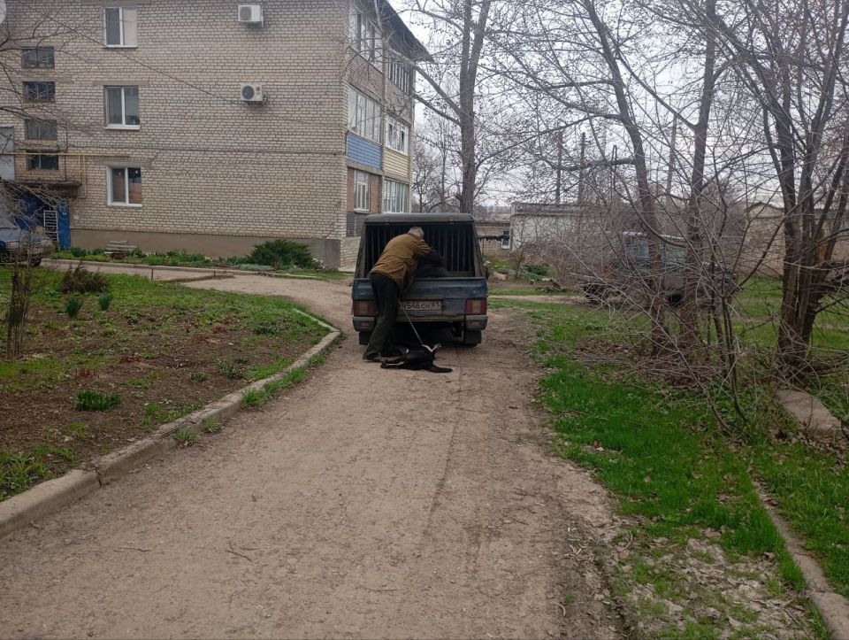 В Лутугинском муниципальном округе проводятся мероприятия по гуманному отлову животных без владельцев В Лутугинском муниципальном округе проводятся мероприятия по гуманному отлову животных без владельцев