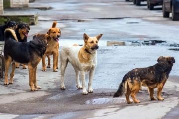 ����� ����������� �� ��������� ����������� �����