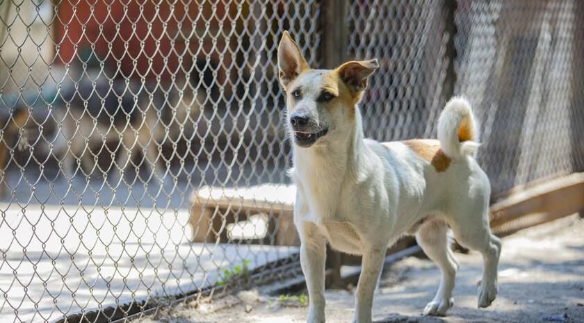 ������ �������� � ��������� ���� ������� ����� �������� ���