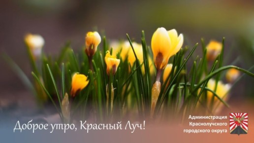 ������ ����, ������������!