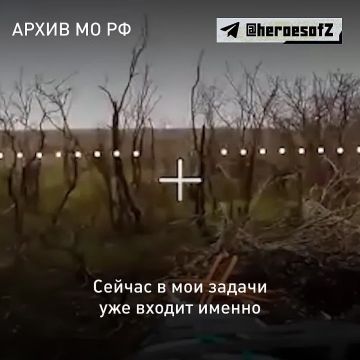 «Татьяна, ты справишься», — сказал ей командир