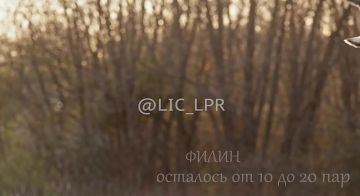 «Огарь, лунь, тювик и не только»