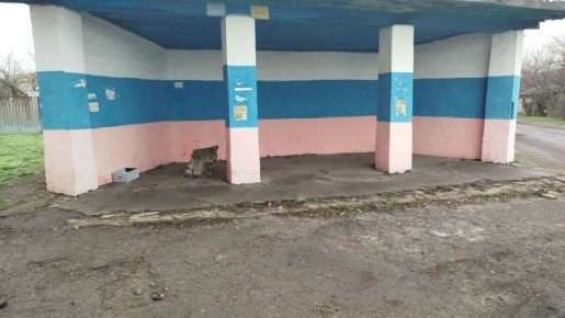 ��� ���ʻ ������ �������� ������������ ������� � ������� � ��������� ������