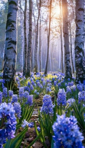 � ������ �����!. ������� 1 ������, �����! ����� ���� ���� ����� ��� ��� ������! ������� � ������: