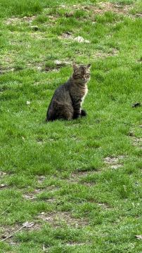 ��������� ������������ 2 ������ � ��� �� ���� 7 �������� ����� �� 21 ������� ����� ����, ������� ��������� ��������������� �����, ����� � ����� �����