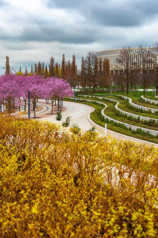 ���� ����������. ������� � ��� �!� � MAX �� ��������� �������� ��� ���� � ����� �� �������� ���� ���������� ����� 217 ��� ����� ������� ������������� ������� �������� ������� ������