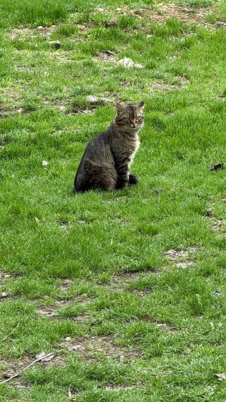 ��������� ������������ 2 ������ � ��� �� ���� 7 �������� ����� �� 21 ������� ����� ����, ������� ��������� ��������������� �����, ����� � ����� �����