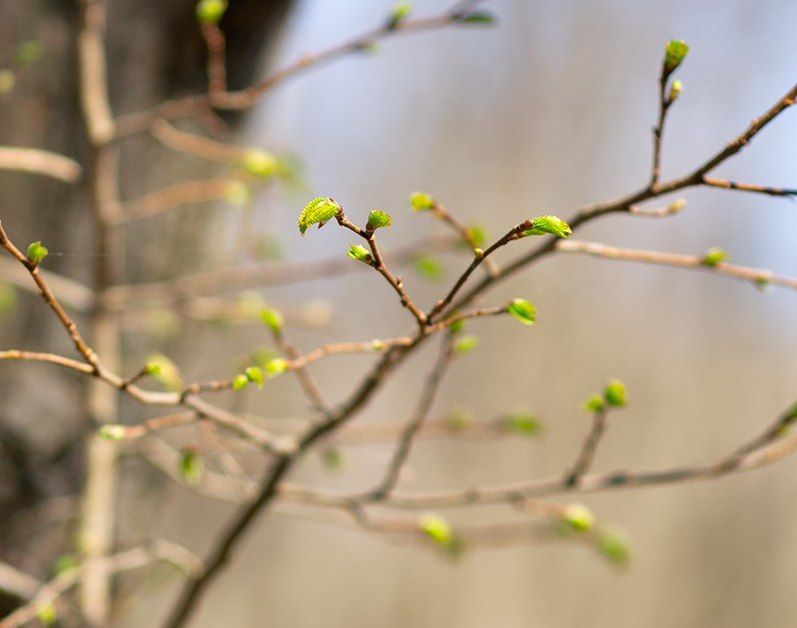 ������ � ��� 1 ������. ������� ����� ������� � ������������, ������� �������� ����� � ������