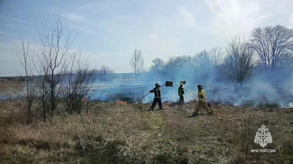 ГУ МЧС России по ЛНР напоминает, что с 1 апреля по 31 октября в ЛНР устанавливается особый противопожарный режим ГУ МЧС России по ЛНР напоминает, что с 1 апреля по 31 октября в ЛНР устанавливается особый противопожарный режим
