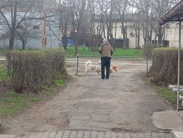 � ����������� ������������� ������ ���������� ����������� �� ��������� ������ �������� ��� ����������