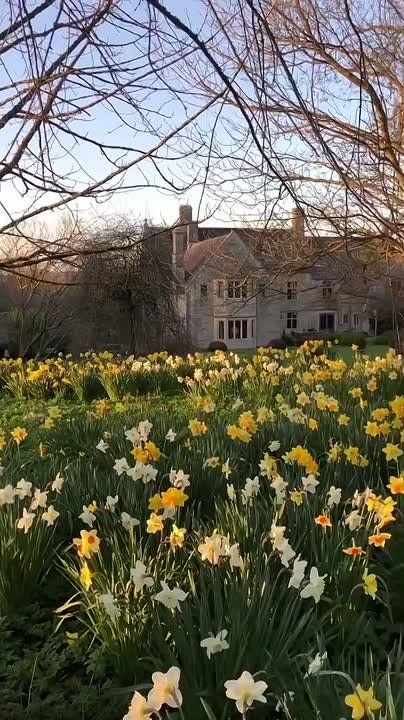 � ������ ���������� �����, ������ �������������� ������! ���� ���������� ��������� ����������!