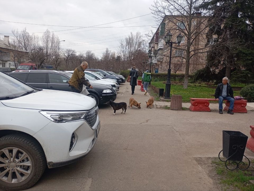 В Лутугинском муниципальном округе проводятся мероприятия по гуманному отлову животных без владельцев В Лутугинском муниципальном округе проводятся мероприятия по гуманному отлову животных без владельцев