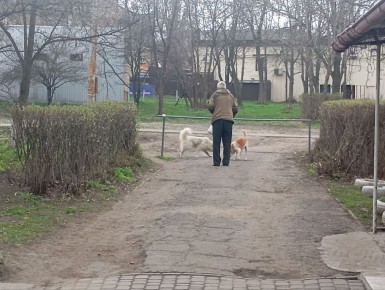 � ����������� ������������� ������ ���������� ����������� �� ��������� ������ �������� ��� ����������