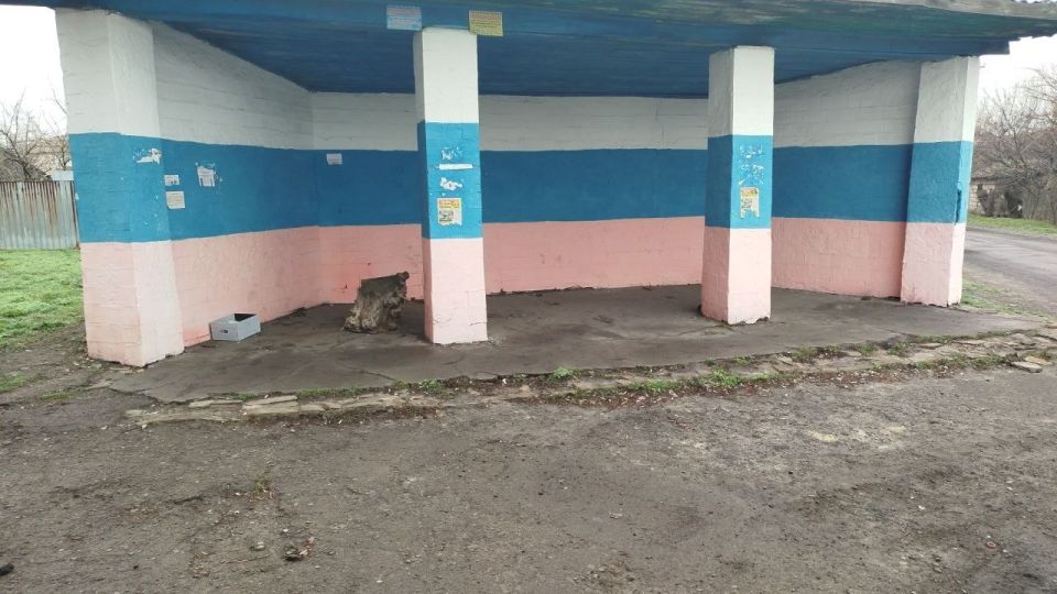 Андрей Рубанцов: Муниципальное унитарное предприятие «ЖЭК» города Ровеньки ежедневно проводит комплекс мероприятий, направленных на обеспечение чистоты и порядка в городском округе Андрей Рубанцов: Муниципальное унитарное предприятие «ЖЭК» города Ровеньки ежедневно проводит комплекс мероприятий, направленных на обеспечение чистоты и порядка в городском округе