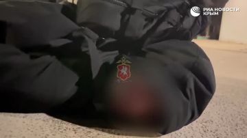 �������� �������� ������, ��� � "�������": � ����������� ��������� �������� ������