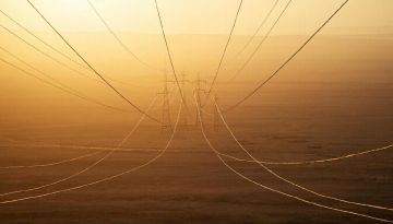 �� ����� 2028 ���� � ��� �������������� 48 ���������� � 38 �� ���