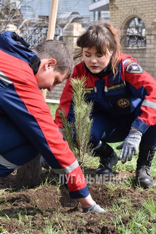 ����������� �������������� � ������������� ����� ���� ������