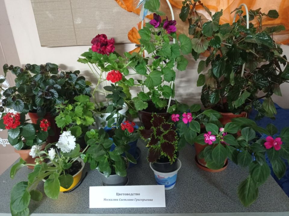 � ���������� ��������� �������� ���������� ����� ����� ���������