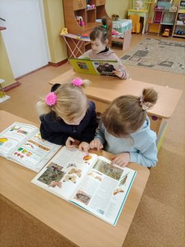 ����-����������� ������� ��������-������ ��������