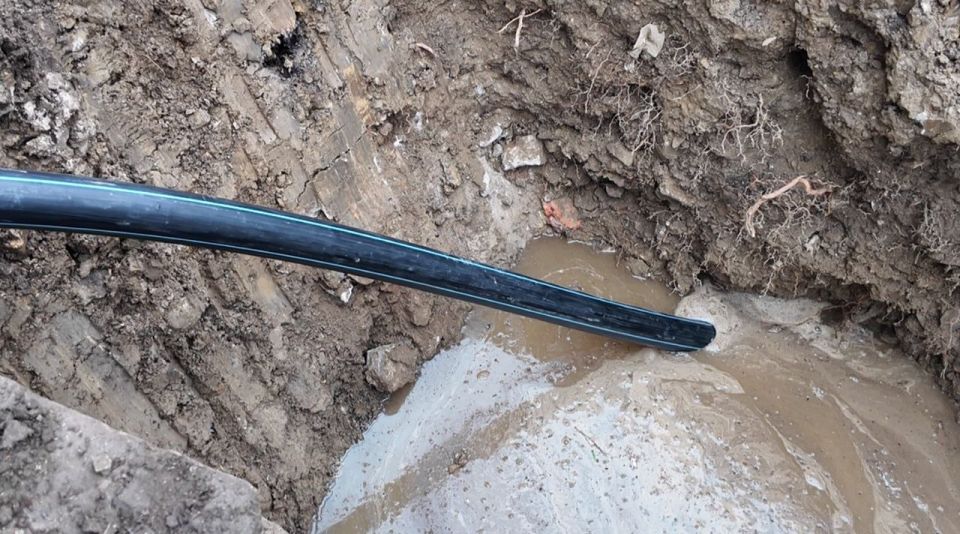 ������� � ���������� ���������� ������ ����������� ������� �������� ���������������