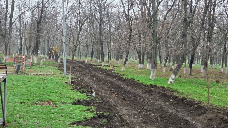 ������ �������: ������� ������ ���� ��������������� ����� ����� �������� ������� � ����������