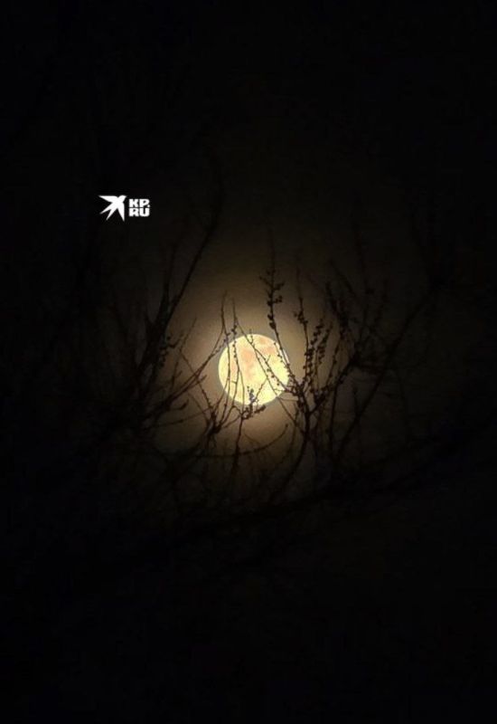 ������ ���� ��� ���������. ����� ������� �������� ���� ��� ������� �� ������� � �������� ������