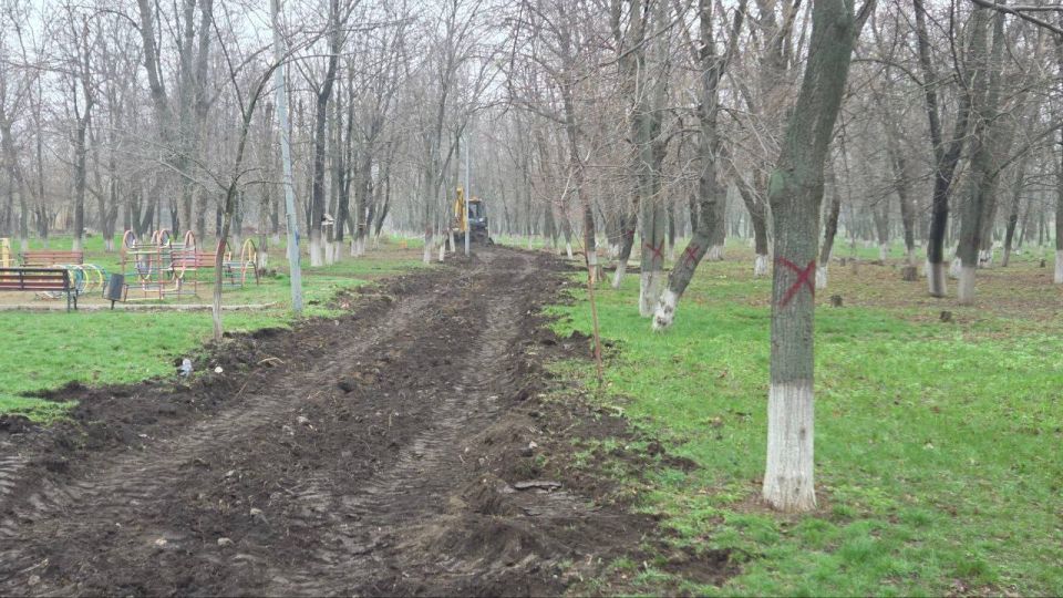 ������ �������: ������� ������ ���� ��������������� ����� ����� �������� ������� � ����������