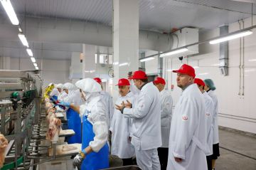 ����� ������������ � ������ ���������� �������� ��������� ������������ � ������� �������