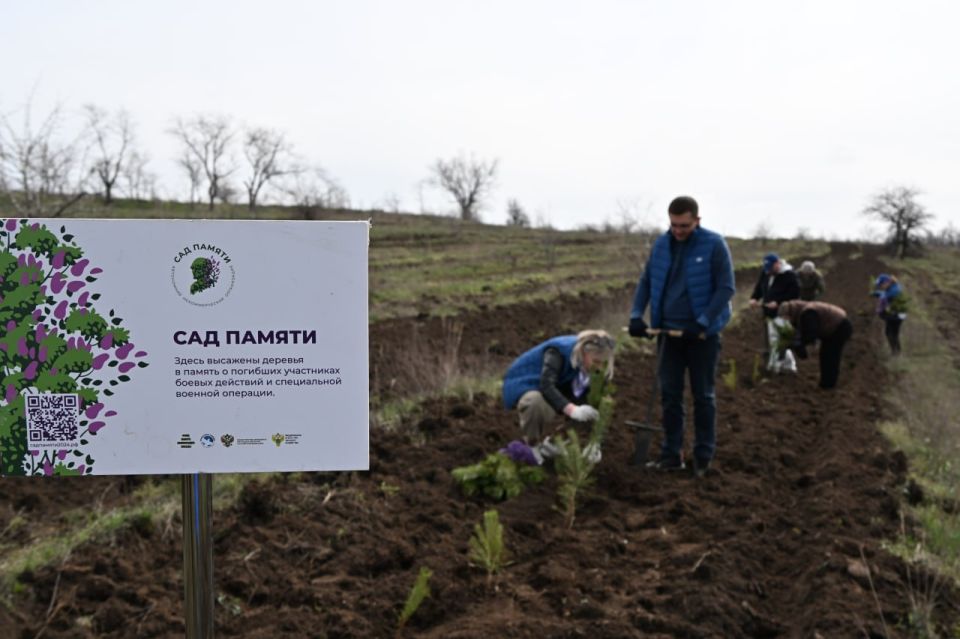 «Сад памяти» в Брянке: 2000 сосен «Сад памяти» в Брянке: 2000 сосен