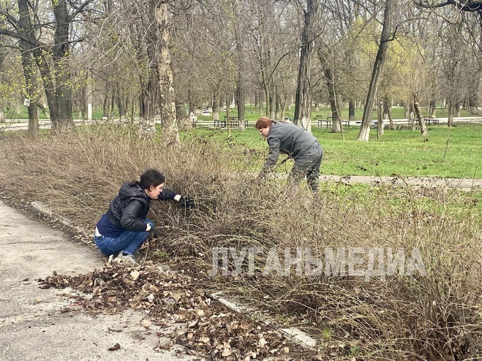 В Кировске в рамках эстафеты добрых дел «Весна – пора наводить порядки» прошел массовый субботник общественных мест В Кировске в рамках эстафеты добрых дел «Весна – пора наводить порядки» прошел массовый субботник общественных мест