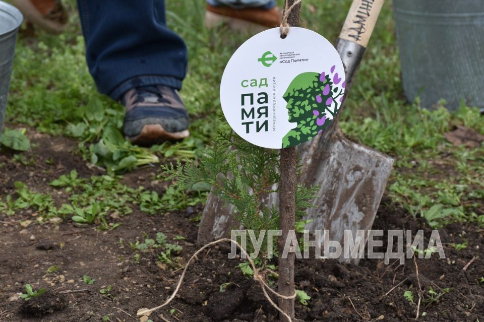 ������� ������������� � ������������� ����� ���� ������