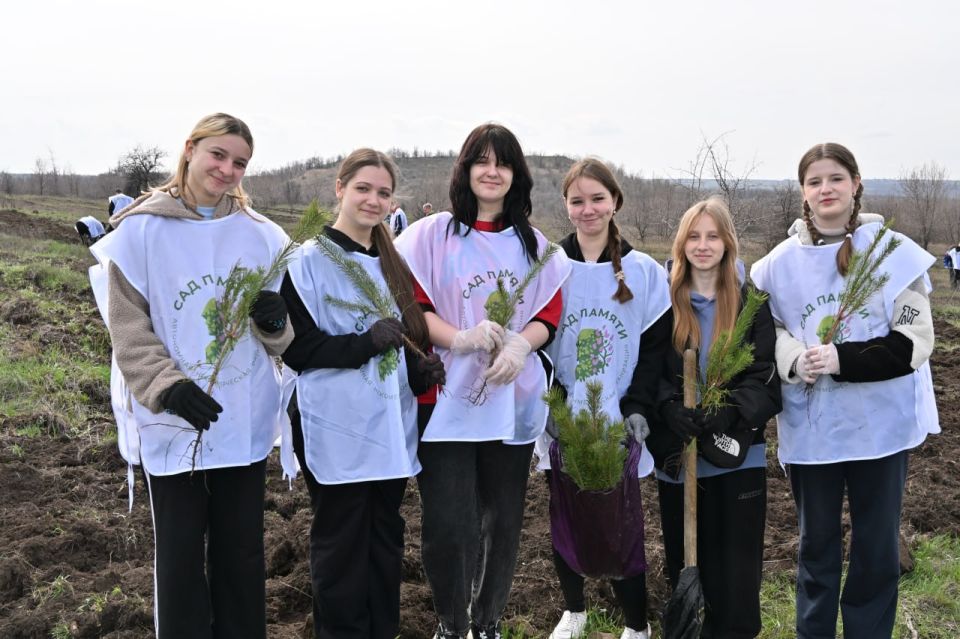 «Сад памяти» в Брянке: 2000 сосен «Сад памяти» в Брянке: 2000 сосен