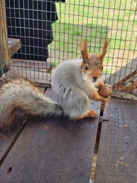 ��� ����� ����� ��������� ��������� � ��������� �� ������ ���������� ���������� �� ���������� ����� � ����� ������������ ����� ������� �� � ���