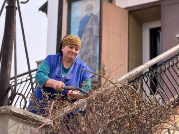 ������ �������: �����-�����-���������� ���� ������������� � ���������� �������� ��������� �����