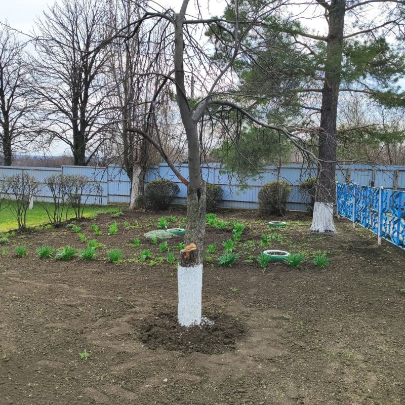 В поселках Софиевский и Запорожье продолжаются работы по благоустройству В поселках Софиевский и Запорожье продолжаются работы по благоустройству