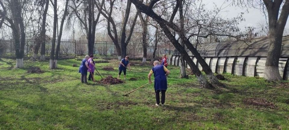 Весна — пора наводить порядки Весна — пора наводить порядки