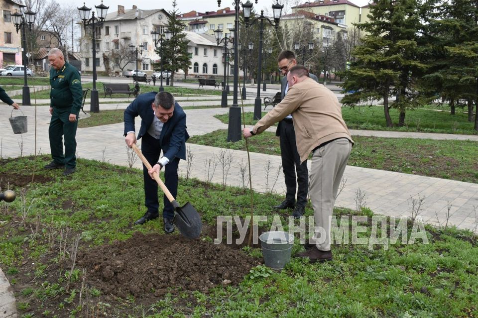 Очередной визит побратимов из Ставропольского края порадовал Антрацит высадкой саженцев молодых деревьев Очередной визит побратимов из Ставропольского края порадовал Антрацит высадкой саженцев молодых деревьев