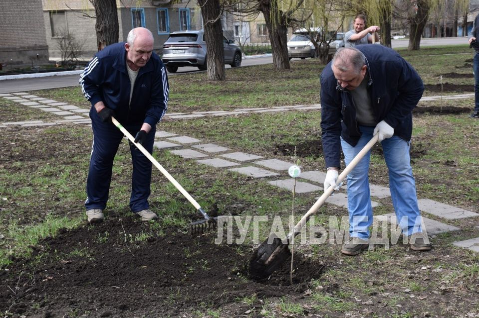 В Первомайске было организовано мероприятие в рамках международной акции «Сад памяти» В Первомайске было организовано мероприятие в рамках международной акции «Сад памяти»
