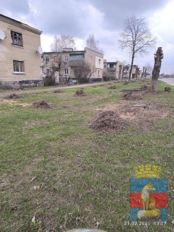 В городе Новодружеск сотрудники МБУ "КСЛ" осуществляют комплекс работ по благоустройству улиц: проводится уборка листвы и мусора, обрезка сухостоя, а также облагораживание клумб в центральной части города В городе Новодружеск сотрудники МБУ "КСЛ" осуществляют комплекс работ по благоустройству улиц: проводится уборка листвы и мусора, обрезка сухостоя, а также облагораживание клумб в центральной части города