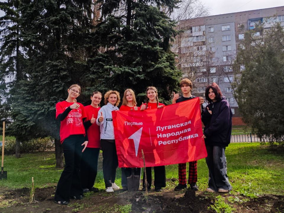 Светлана Гребенькова: В знак вечной памяти и благодарности: Алчевск присоединился к Международной акции «Сад памяти» Светлана Гребенькова: В знак вечной памяти и благодарности: Алчевск присоединился к Международной акции «Сад памяти»